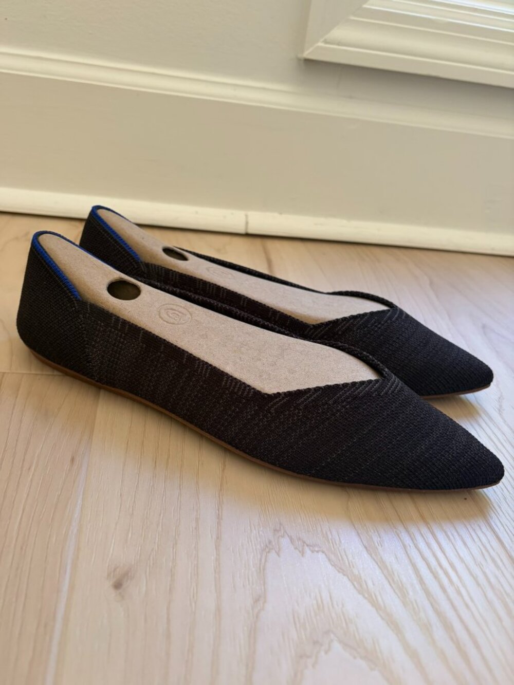 Rothy's Black Pointed Toe Flat